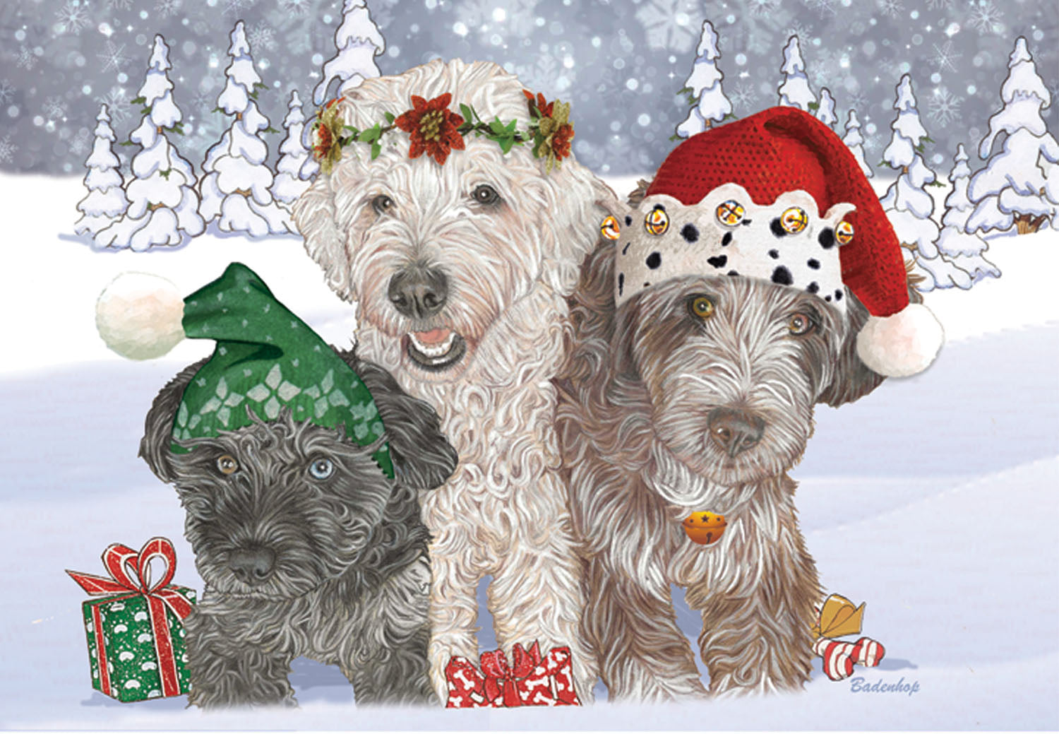 Doodles, Aussiedoodle, Labradoodle, Christmas Cards Set of 10 Cards & 10 Envelopes