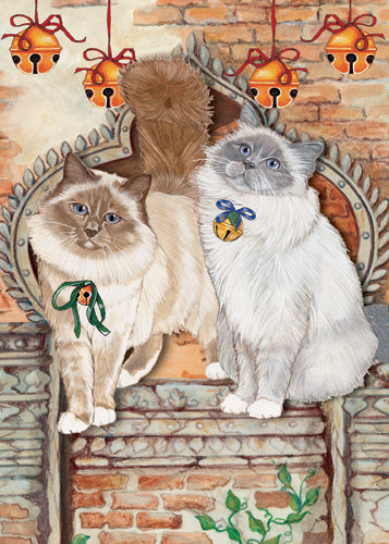 Birman Cat Christmas Card 5 x 7 with envelope