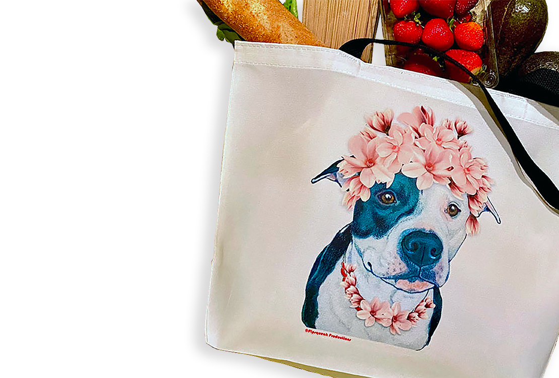 Desktop Slider Image