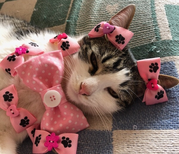 Dog Hair Bows Two Pink with Black Paw Prints - Pipsqueakproductions