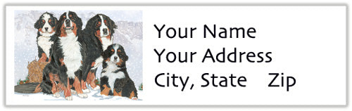 Bernese Address Labels - Pipsqueakproductions