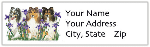 Sheltie Address Labels - Pipsqueakproductions