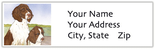 English Springer Spaniel Address Labels - Pipsqueakproductions