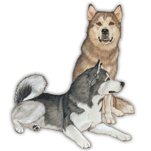 Alaskan Malamute Magnet Wooden - Pipsqueakproductions