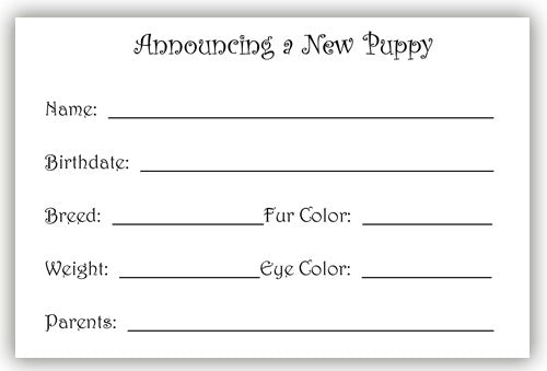 Puppy Announcement Cards Set of 10 cards & 10 envelopes - Pipsqueakproductions