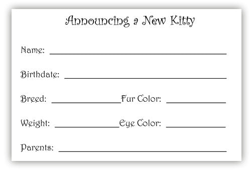 Kitty Announcement Cards Set of 10 cards & 10 envelopes - Pipsqueakproductions