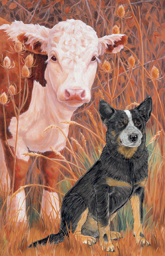 Australian Cattle Dog Blank Note Cards Boxed - Pipsqueakproductions