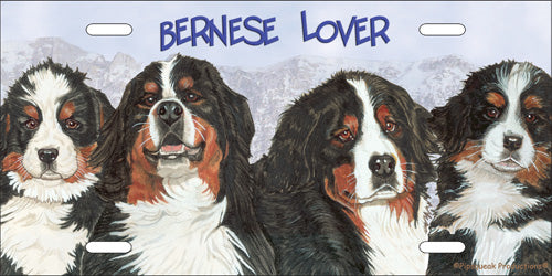 Bernese Mountain Dog License Plate, Car Accessory, Auto Tag, Bedroom Sign, Fun Dog Lover Gift - Pipsqueakproductions