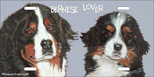 Bernese Mountain Dog License Plate, Car Accessory, Auto Tag, Bedroom Sign, Fun Dog Lover Gift - Pipsqueakproductions