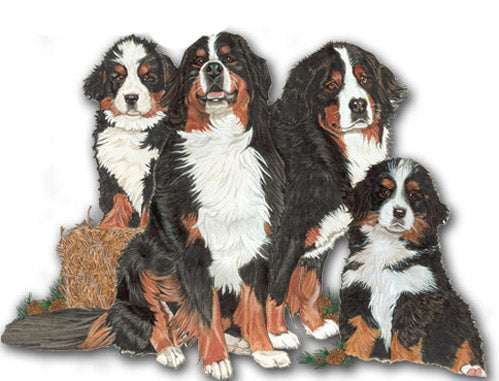 Bernese Mountain Dog Magnet Wooden - Pipsqueakproductions