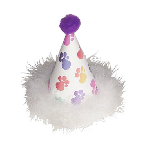 Pet Party Hat Decorated - Pipsqueakproductions