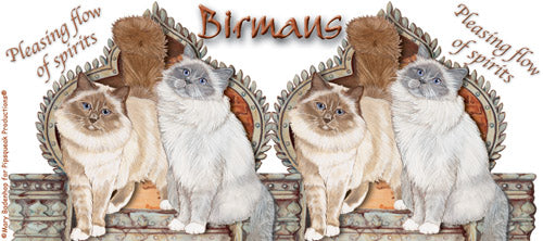 Birman Cat Ceramic Coffee Mug Tea Cup 15 oz - Pipsqueakproductions