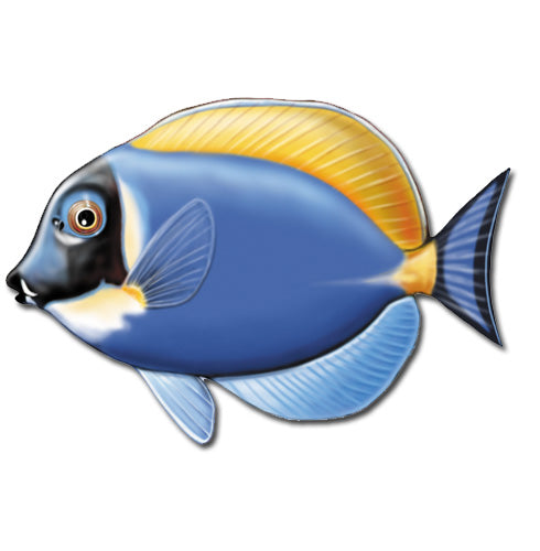 Bluesurgeon Fish Magnet Wooden - Pipsqueakproductions