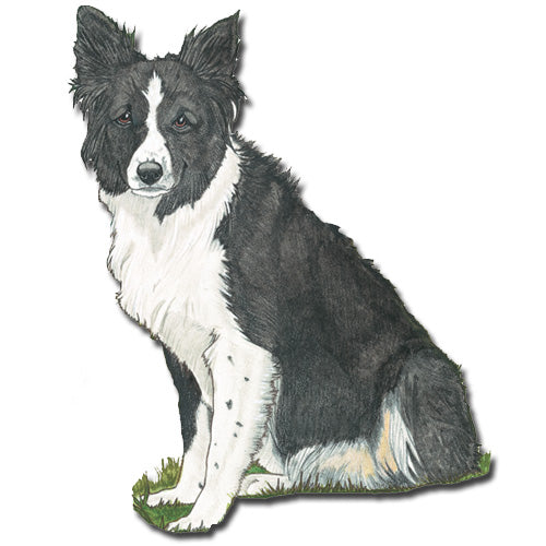 Border Collie Magnet Wooden - Pipsqueakproductions