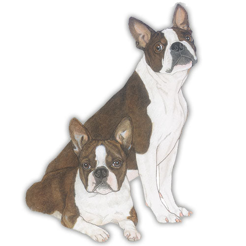 Boston Terrier Magnet Wooden - Pipsqueakproductions