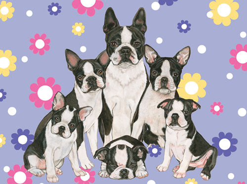 Boston Terrier Blank Note Cards Boxed - Pipsqueakproductions