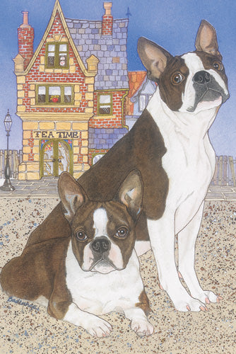 Boston Terrier Blank Note Cards Boxed - Pipsqueakproductions