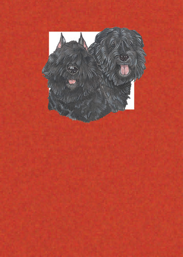 Bouvier des Flandres Blank Note Cards Boxed - Pipsqueakproductions