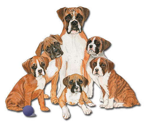 Boxer Magnet Wooden - Pipsqueakproductions