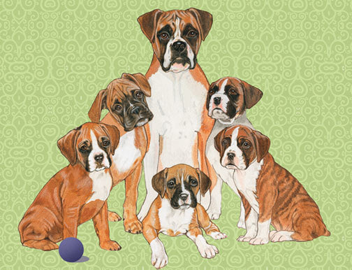Boxer Blank Note Cards Boxed - Pipsqueakproductions