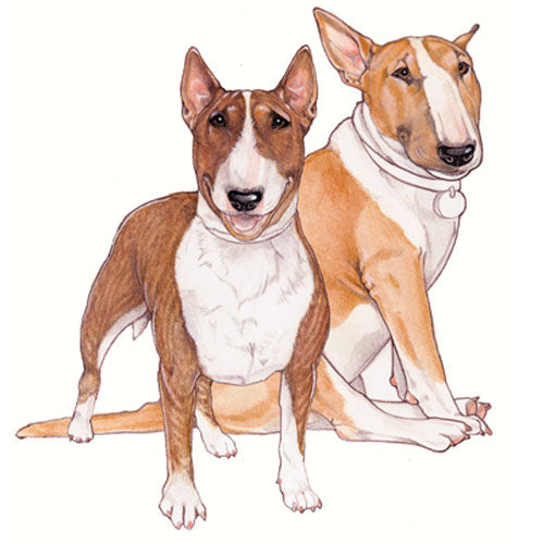 Bull Terrier Magnet Wooden - Pipsqueakproductions