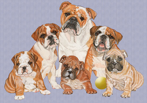 Bulldog Blank Note Cards Boxed - Pipsqueakproductions