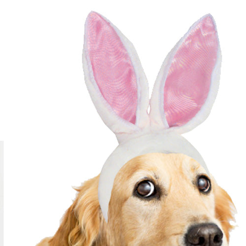 Easter Bunny Ears for your Dog - Pipsqueakproductions