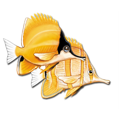 Butterfly Fish Magnet Wooden - Pipsqueakproductions