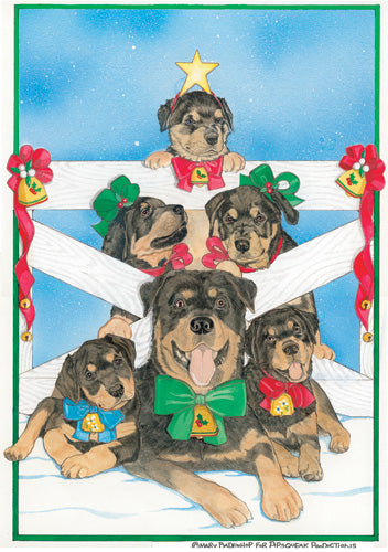 Rottweiler Christmas Cards Set of 10 cards & 10 envelopes - Pipsqueakproductions