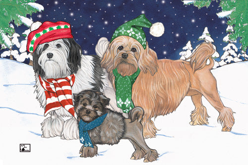 Lowchen Christmas Cards Set of 10 cards & 10 envelopes - Pipsqueakproductions