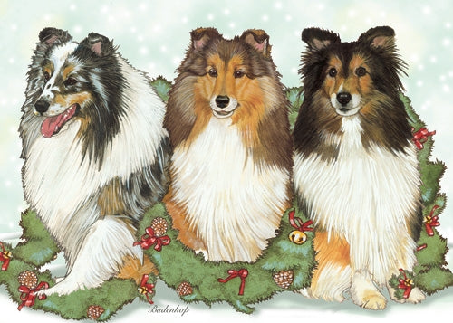 Sheltie Shetland Sheepdog Christmas Card 5 x 7 with Envelope - Pipsqueakproductions