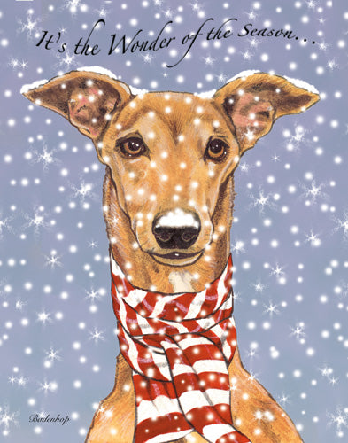 Greyhound Fawn Greyhound Christmas Cards Set of 10 cards & 10 envelopes - Pipsqueakproductions