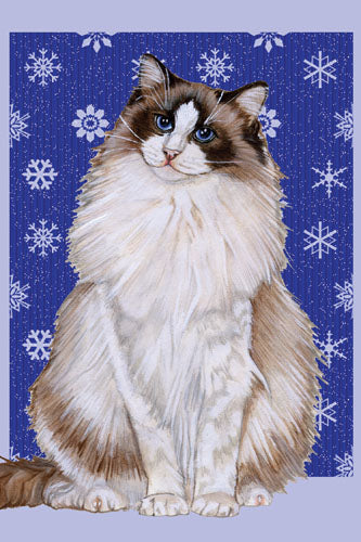 Ragdoll Cat Christmas Cards Set of 10 cards & 10 envelopes - Pipsqueakproductions