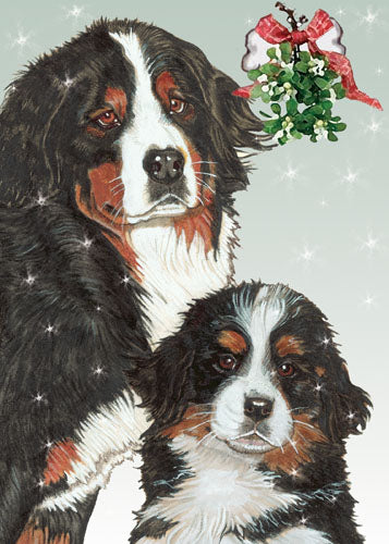 Bernese Mountain Dog Christmas Cards Set of 10 cards & 10 envelopes - Pipsqueakproductions