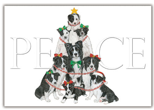 Border Collie Christmas Cards Set of 10 cards & 10 envelopes - Pipsqueakproductions