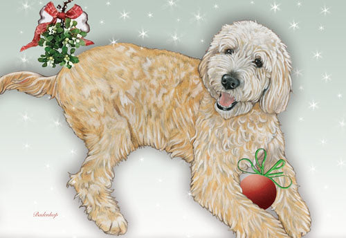 Doodle Christmas Cards Set of 10 cards & 10 envelopes - Pipsqueakproductions