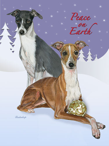 Italian Greyhound Christmas Cards Set of 10 cards & 10 envelopes - Pipsqueakproductions