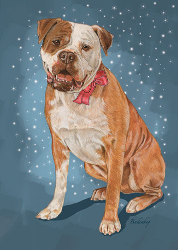 American Bulldog Christmas Cards Set of 10 cards & 10 envelopes - Pipsqueakproductions