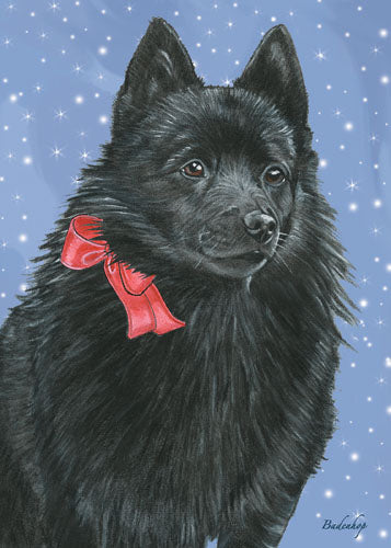 Schipperke Christmas Cards Set of 10 cards & 10 envelopes - Pipsqueakproductions