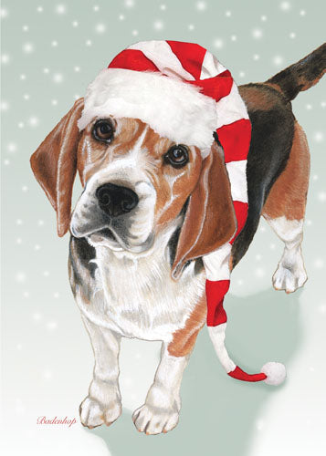 Beagle Christmas Cards Set of 10 cards & 10 envelopes - Pipsqueakproductions