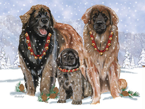 Leonberger Christmas Cards Set of 10 cards & 10 envelopes - Pipsqueakproductions