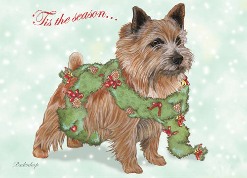 Norwich Terrier Christmas Cards Set of 10 cards & 10 envelopes - Pipsqueakproductions