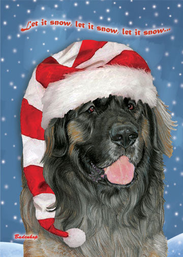 Leonberger Christmas Cards Set of 10 cards & 10 envelopes - Pipsqueakproductions