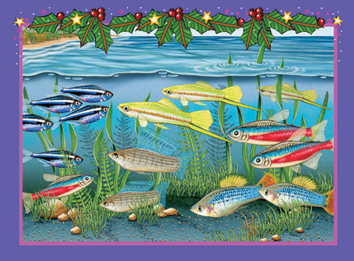 Tetra Fish Christmas Cards Set of 10 cards & 10 envelopes - Pipsqueakproductions