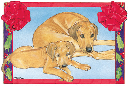 Rhodesian Ridgeback Christmas Cards Set of 10 cards & 10 envelopes - Pipsqueakproductions