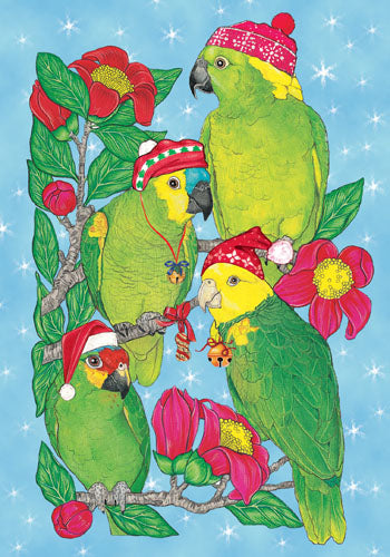 Amazon Parrot Christmas Cards Set of 10 cards & 10 envelopes - Pipsqueakproductions