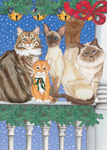 Cat Holiday Concerto Christmas Cards 10 cards & 10 envelopes - Pipsqueakproductions
