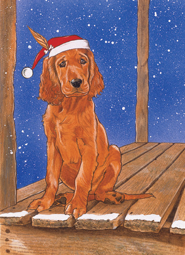 Irish Setter Christmas Cards Set of 10 cards & 10 envelopes - Pipsqueakproductions