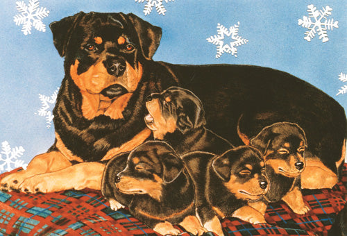 Rottweiler Christmas Cards Set of 10 cards & 10 envelopes - Pipsqueakproductions