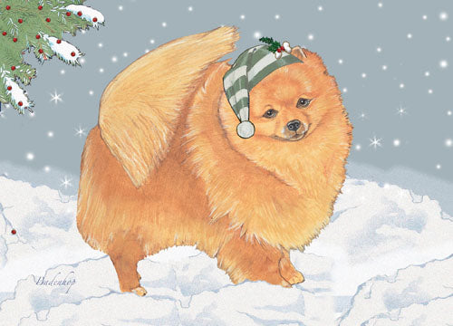 Pomeranian Christmas Cards Set of 10 cards & 10 envelopes - Pipsqueakproductions